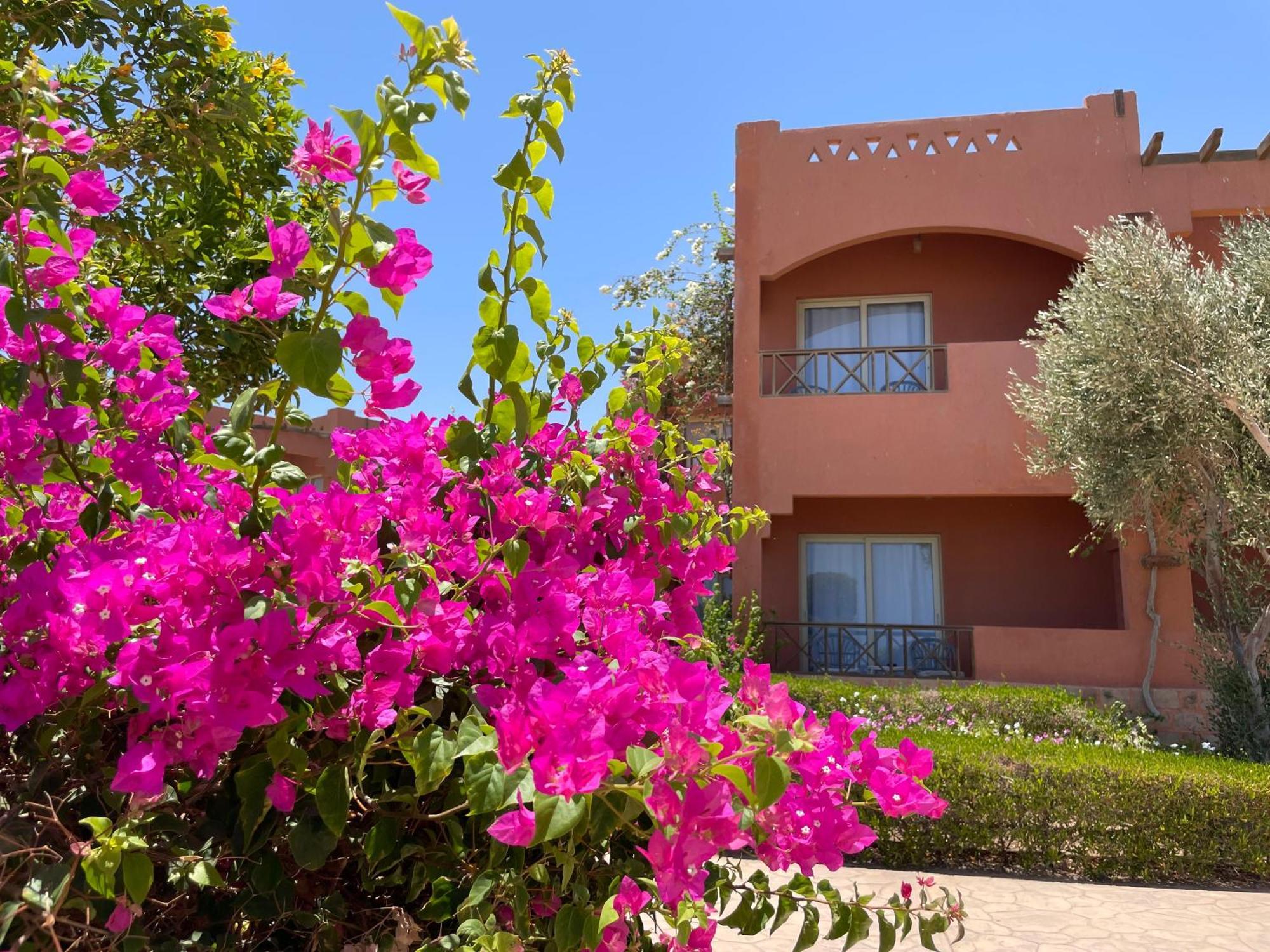 Soulotel Emerald Resort & Spa Марса-Алам Экстерьер фото